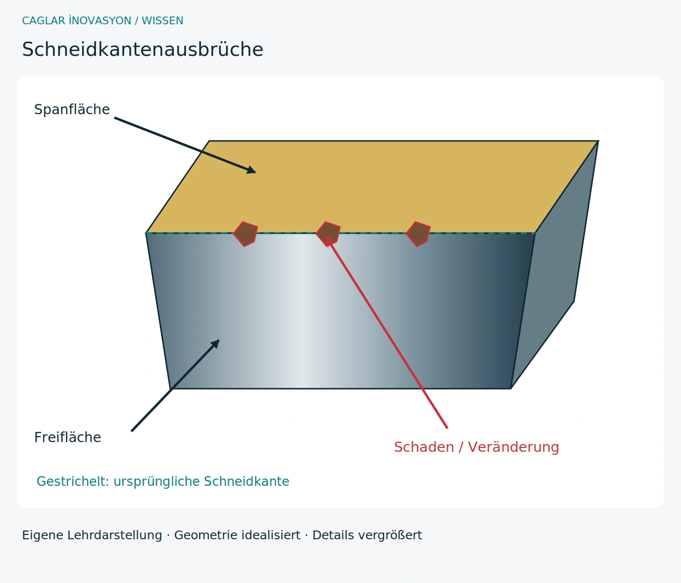 Schneidkantenausbrüche · Eigene technische Schnittdarstellung; Details und Schäden zur Erklärung vergrößert.