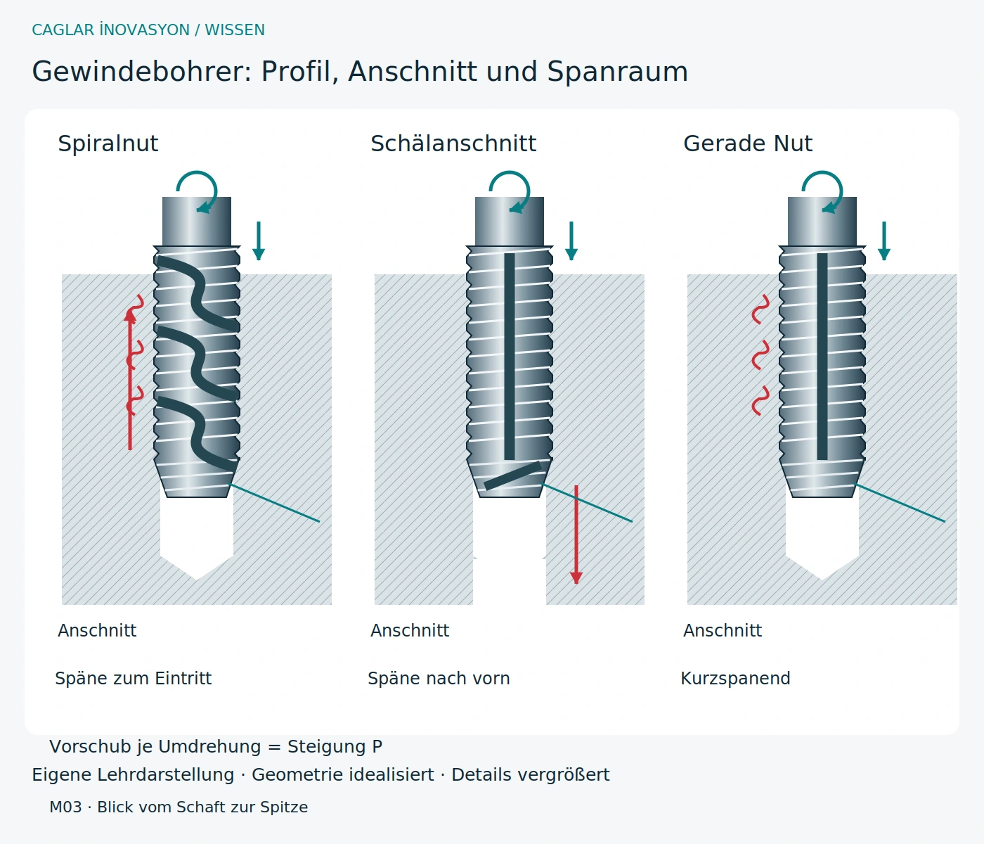 Eigene technische Lehrgrafik: Gewindebohrer: Nuten und Anschnittformen